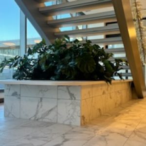 63ed9c4f48c741f9a7db04fc4b8563a2