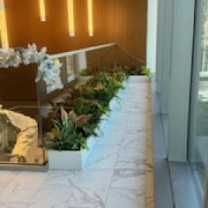 a787f654252f4638a837395f42b42aee